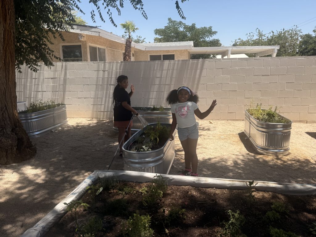 Our Healing Garden